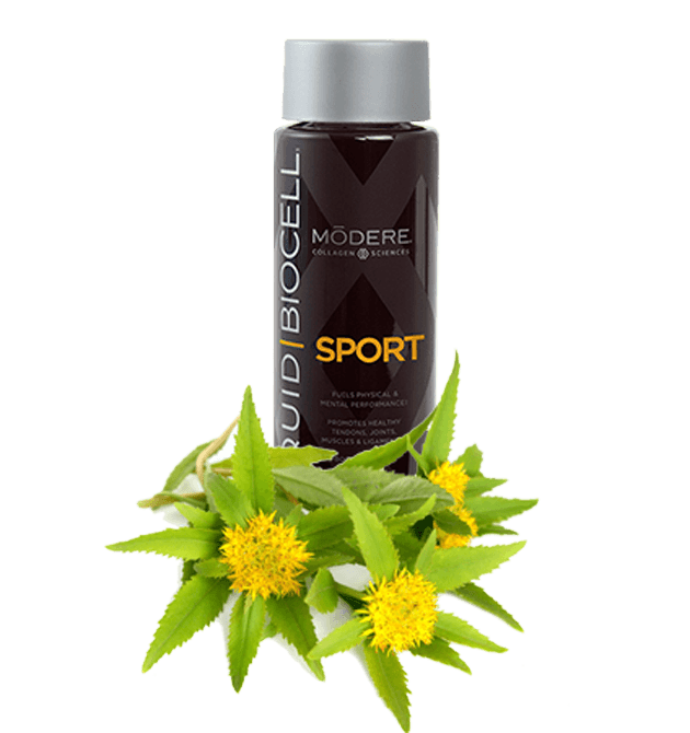 Black sport deodorant with yellow flowers beside it.